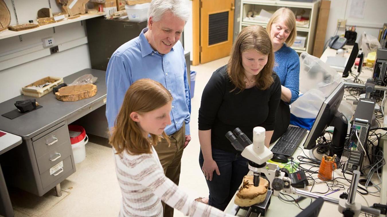 Researchers in the dendrochronology lab