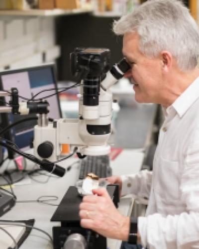 Sturt Manning, the Goldwin Smith Professor of Classical Archaeology, at work in the Cornell Tree-Ring Laboratory.